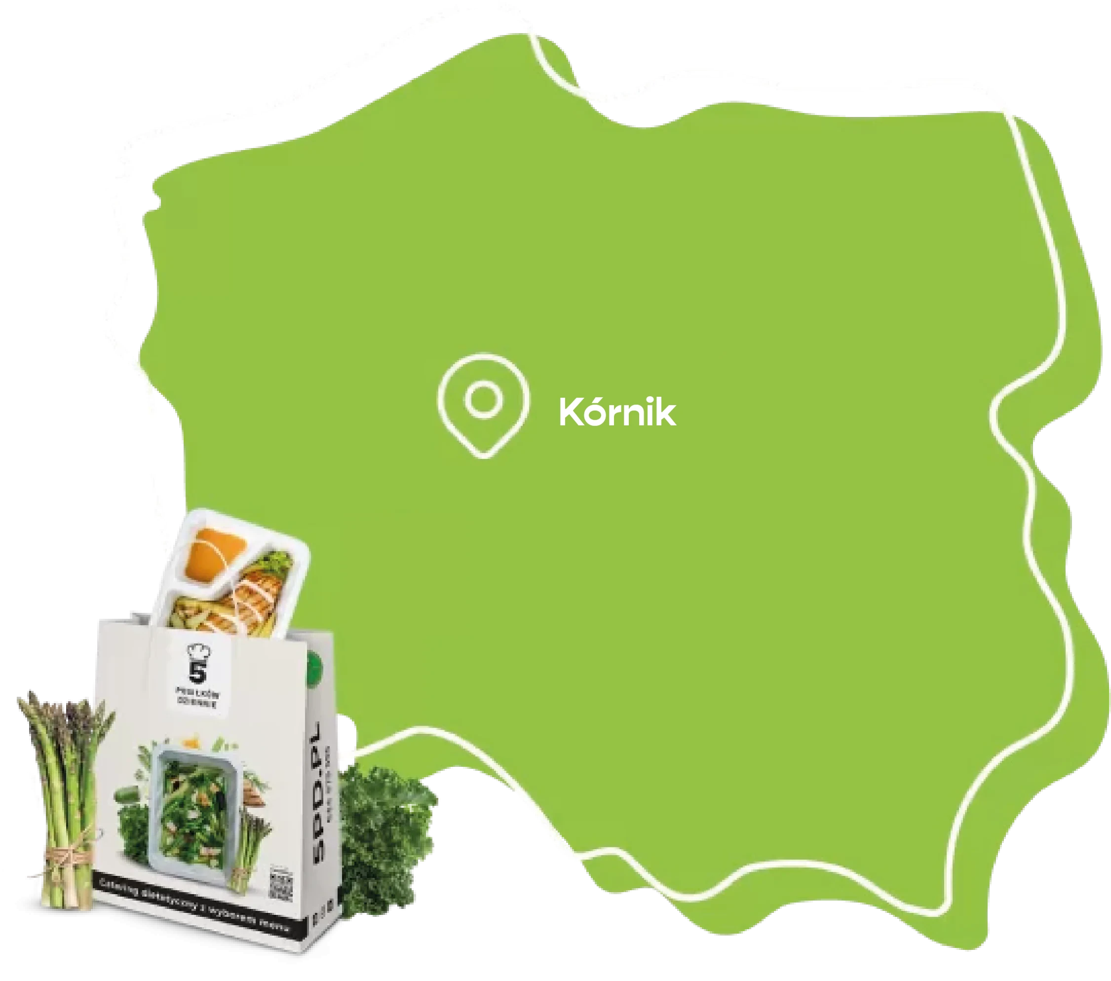 kornik